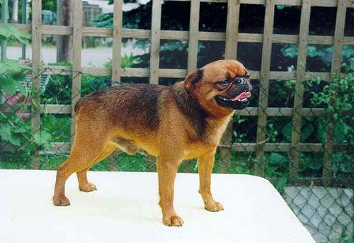 Zav��t okno